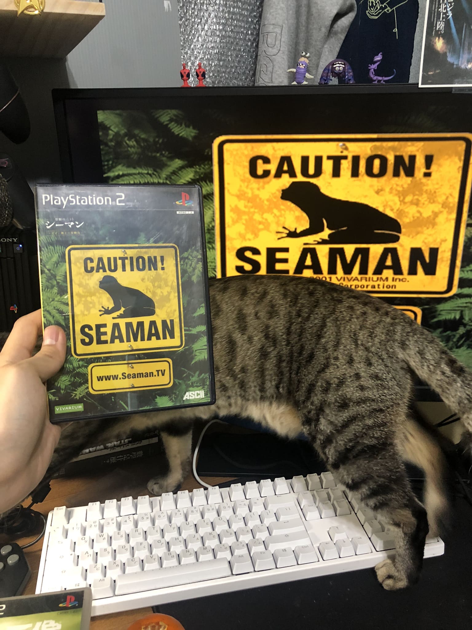 Seaman
